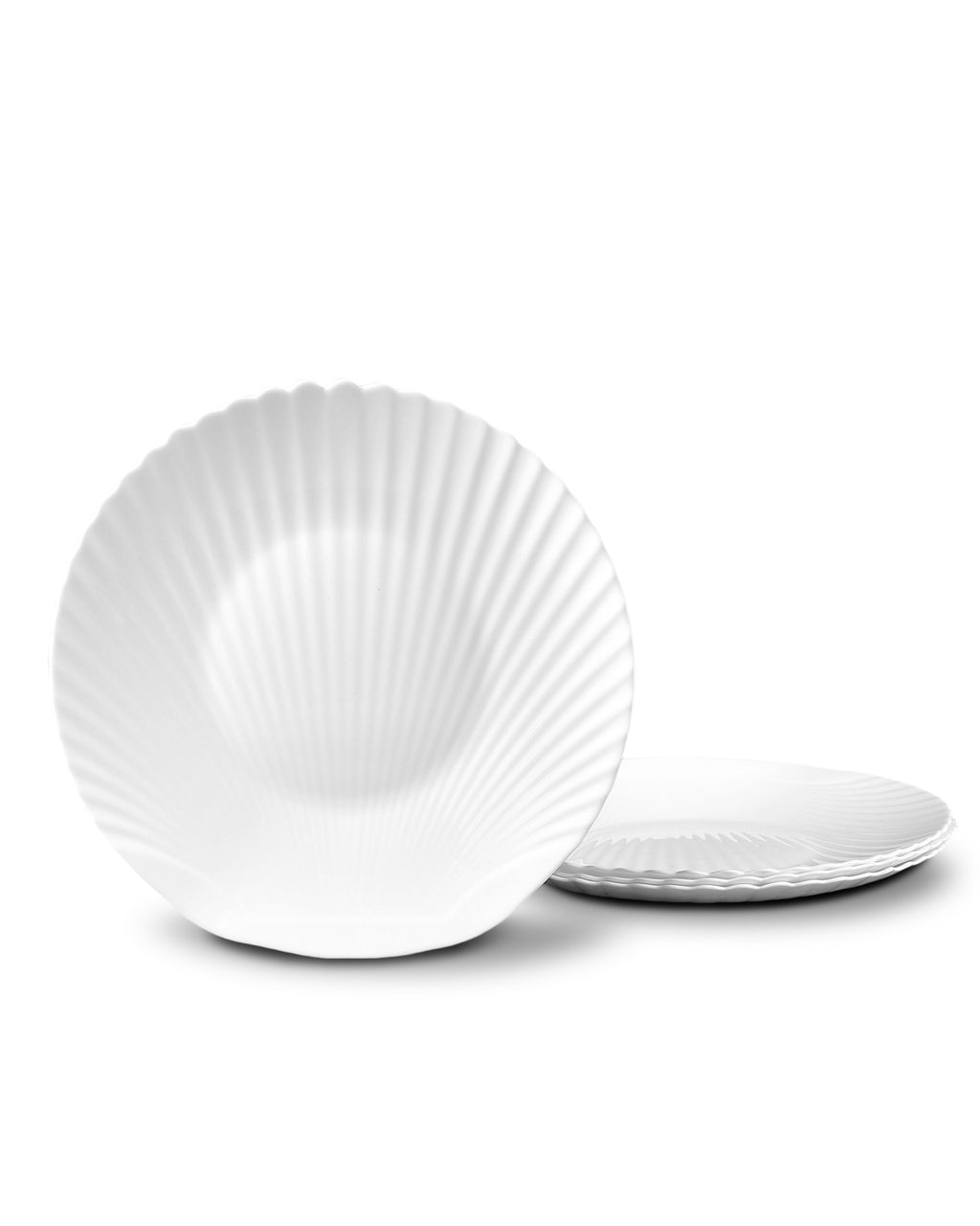 Seashell 12" Dinner Plate